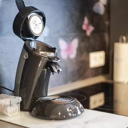 Modern Mitten In Der Stadt Und Doch Sehr Ruhig 2 Minuten Zu Therme