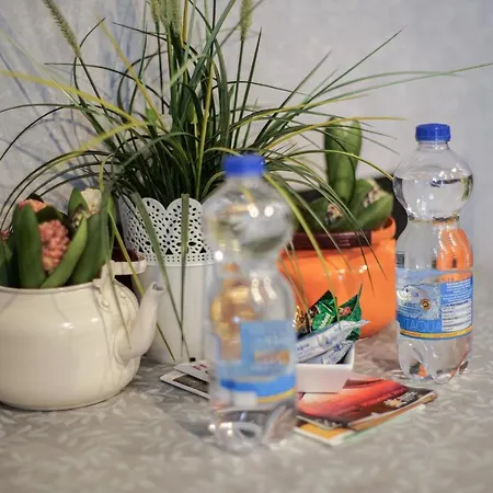 アパート Modern Mitten In Der Stadt Und Doch Sehr Ruhig 2 Minuten Zu Therme