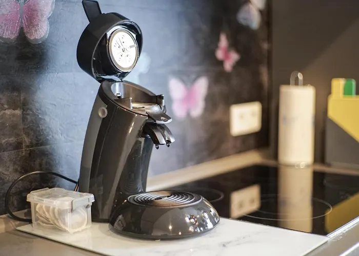 Modern Mitten In Der Stadt Und Doch Sehr Ruhig 2 Minuten Zu Therme